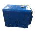 Walton Torrent D6500E Diesel Generator